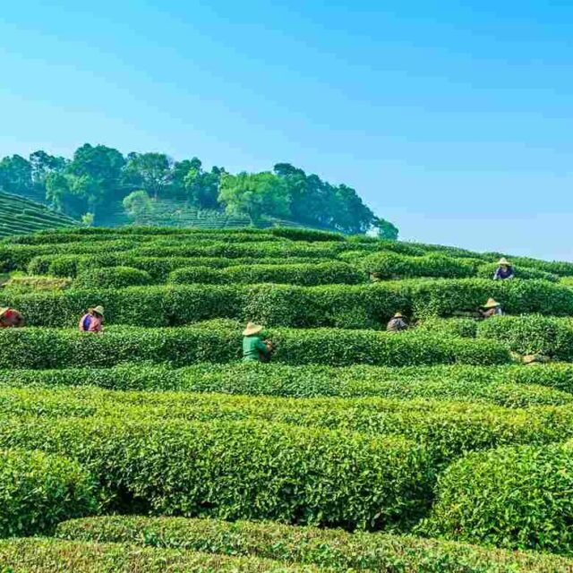 Mcleodganj Tour Package